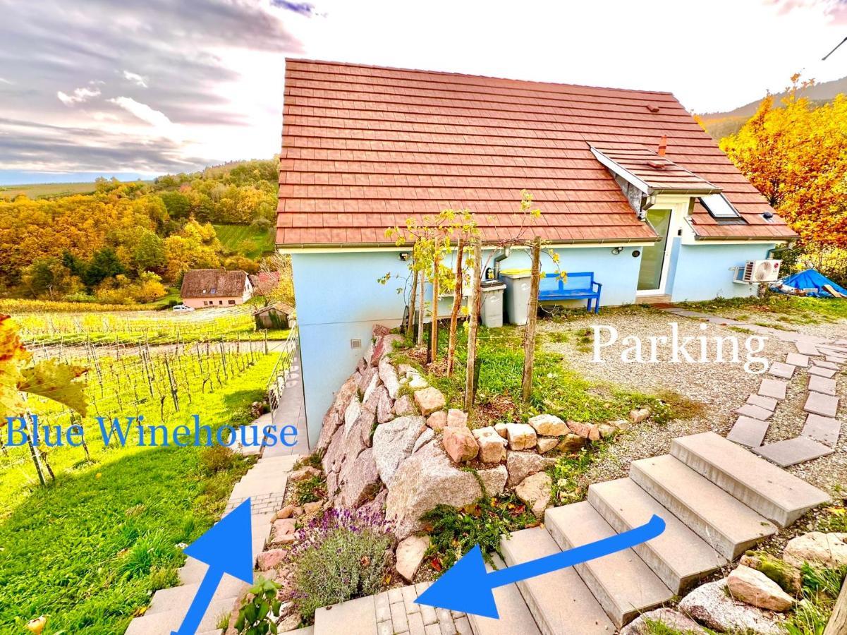 ReichsfeldJanea Big Blue Houseアパートメント エクステリア 写真